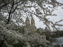 IMG_1576